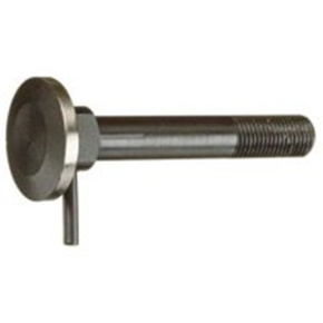 Šroub  Ridgid 1233,300 pro hlavu 815